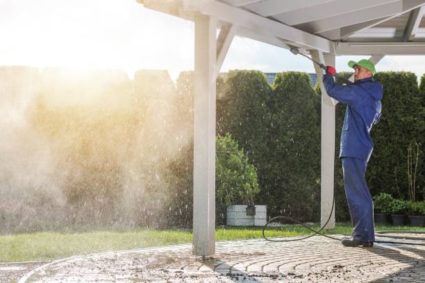 Best Fence Cleaning  in Windsor, CA